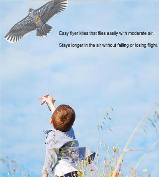 Kite Eagle Toy Desenvolvendo A Festa Unisexo Para Pais E Filhos Brinquedos Educativos Divertidos
